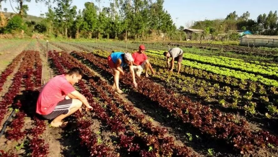 Governo abre crédito extraordinário para a Agricultura Familiar do País