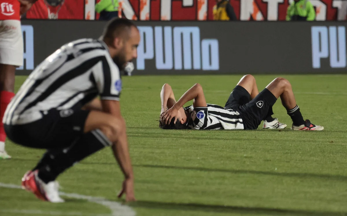 Palmeiras enfrenta o Botafogo neste domingo(06) no Engenhão